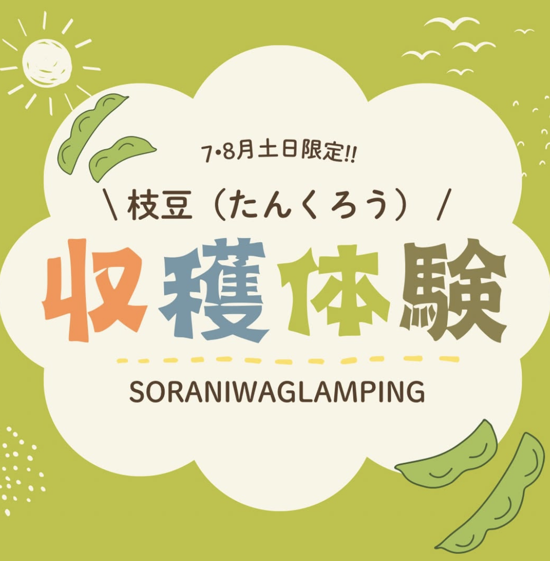 和歌山グランピングで枝豆収穫体験！1名500円で夏の農体験＋冷えたビールが最高